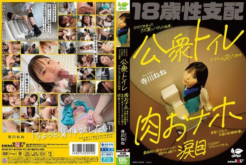 [SDAB-341] 18-year-old who falls for a scumbag she meets on social media and ends up being used as a sex toy in a public restroom for quick wanks. She’s constantly used and fucked until she’s in tears. Nene Terakawa