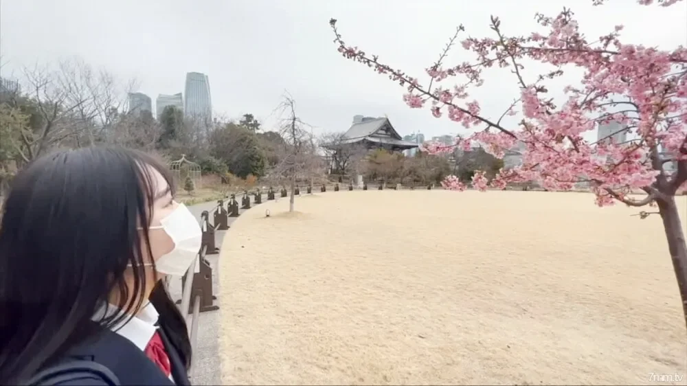 FC2-PPV-2823161 National actress [Gatsu ◯ similar beautiful girl!  - !  - ] A rich vaginal cum shot to an orthodox beautiful girl full of transparency.