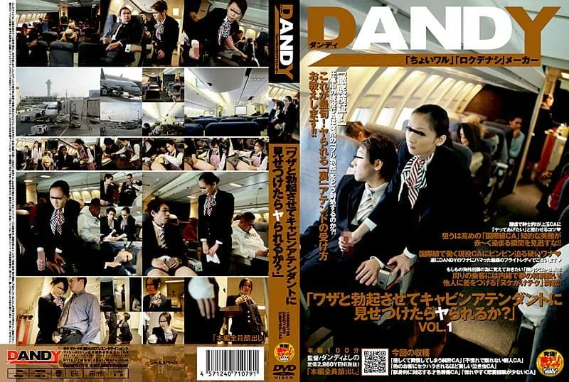 [DANDY-079] “What will you do when confronted by a flight attendant? Let erection and sk*ll decide?”