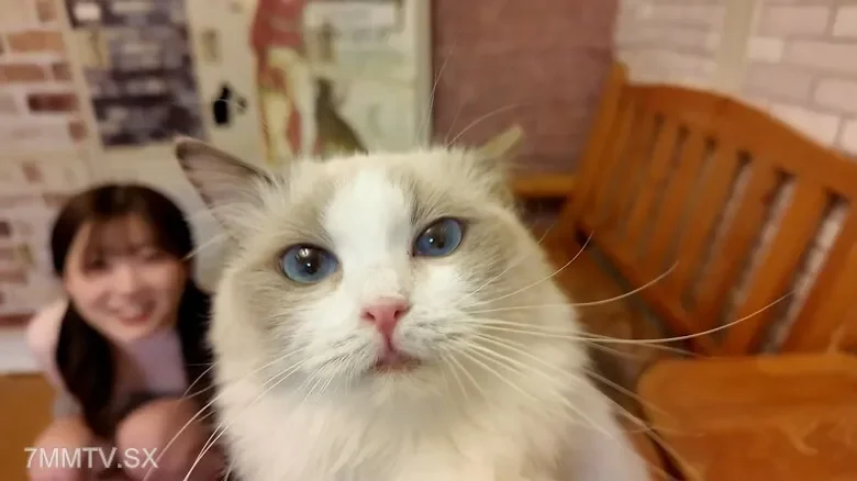 FC2-PPV-4511406 Direct arrival on September 9, 1490! ! !